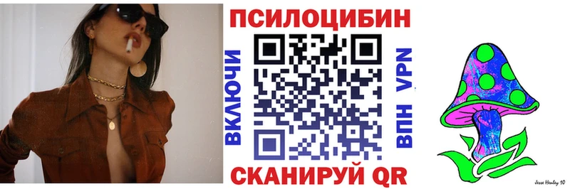 даркнет сайт  Нальчик  Галлюциногенные грибы Psilocybe 